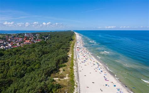 polnische influencer|Die besten polnischen Influencer auf der großen Leinwand